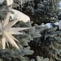 Отголоски праздника :: Наталья Герасимова