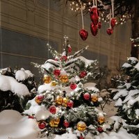 мороз снежком укутывал... :: Галина R...