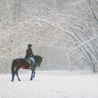 Тренировка в метель :: Галина Нестратова