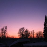 Красивый вечер :: Людмила Смородинская