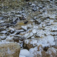 Берег :: Анатолий Чикчирный