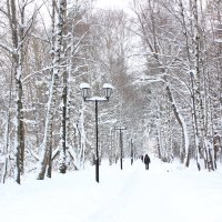 Белым-бело :: Alisia La DEMA