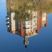 отражённый мир :: Елена Шаламова