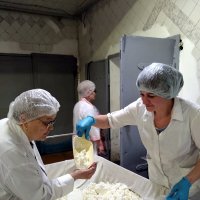 Молочный завод. :: nadyasilyuk Вознюк