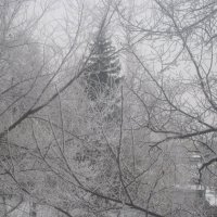 В снежном плену :: Елена Семигина