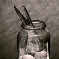 Инсталяция :: СЮ 