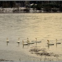 *** :: Aleksandr Gal