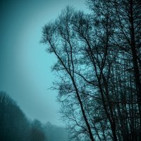 Мистический парк :: Илья Шенгелия