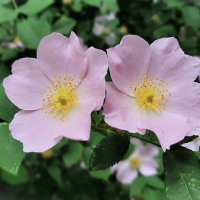 @@ :: Ирина Via