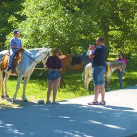 Фото  на  память :: Валентин Семчишин