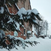 Ель в снегу :: Марина Кушнарева