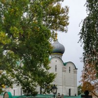 Новодевичий монастырь :: Irene Irene