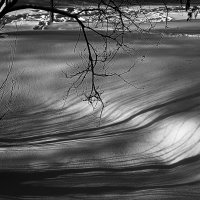 * :: Василий Палий