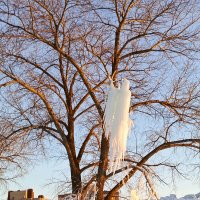 Загадки природы :: константин 