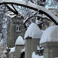 Снежная зима :: Мария - Maria