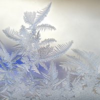 *** :: Надежда Куркина 