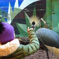 общение :: Олег Лукьянов