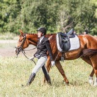 Всадница :: SanSan 