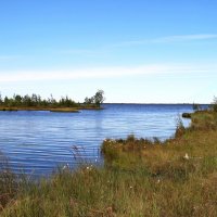 Водоёмы Сургутского района (серия) :: Любовь Сахарова