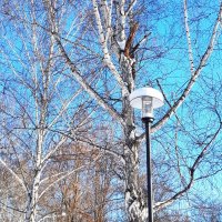 Зима :: Венера Чуйкова