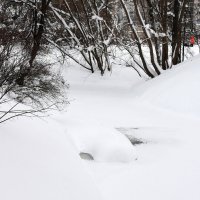 Москва. Воронцовский парк. :: Наташа *****
