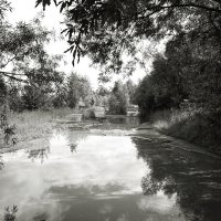 Фотография :: Денис Безногов