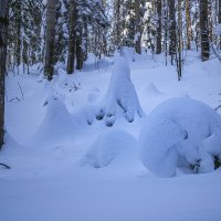 Закутанные снегом :: Сергей Цветков