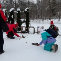 Белочки Елагина острова :: Ольга 