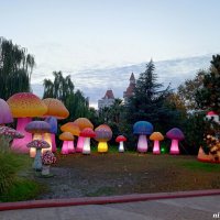 Адлер. Сочи Парк... :: Нина Бутко