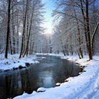 зимняя прогулка. :: Mila 