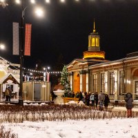 Новогодняя ночь :: Александр Силинский