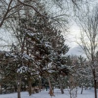 Утро после ночного снегопада :: Владимир Жуков