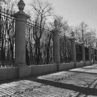 Решетка Летнего сада. :: Наталья 