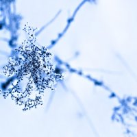 природная абстракция :: Артём 