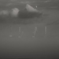 Тумана зимнего визит. :: Анатолий Щербак