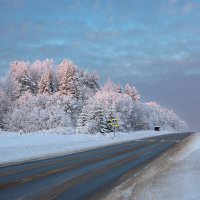Зимняя дорога. :: Андрей Дурапов