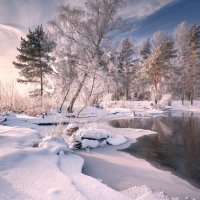 Бодрит ... :: Roman Lunin