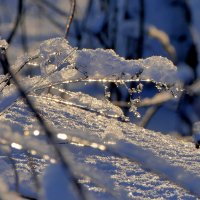 картинки января 26г. 3 :: Александр Прокудин