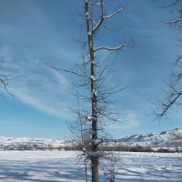 Talgar. :: Murat Bukaev 