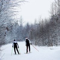 Двое в заснеженном лесу! :: Владимир 