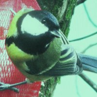 Увидела меня :: Людмила Смородинская