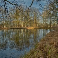 Пруд :: Jakob Dick