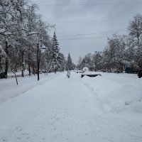 Зимняя аллея :: Александр Синдерёв