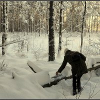 Помочь ближнему :: Aleksandr Gal