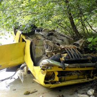 После смерча :: Tata Wolf