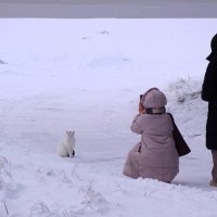 Эра милосердия... :: Sergey Gordoff