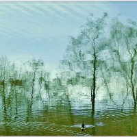 АКВА... :: Elvira E. 