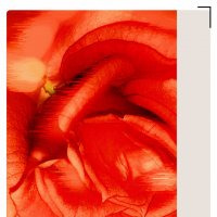 Фотопостер "Роза art" :: Людмила Фил