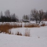 ХМУРЫЙ ДЕНЬ :: Виктор Никитенко