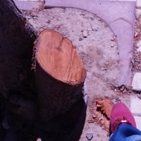 13  ОПЕН (839) :: OPEN WAYS ALL